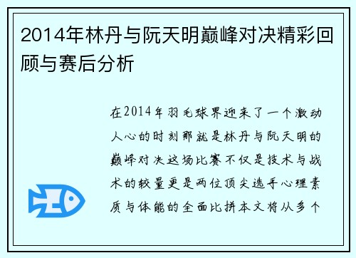 2014年林丹与阮天明巅峰对决精彩回顾与赛后分析